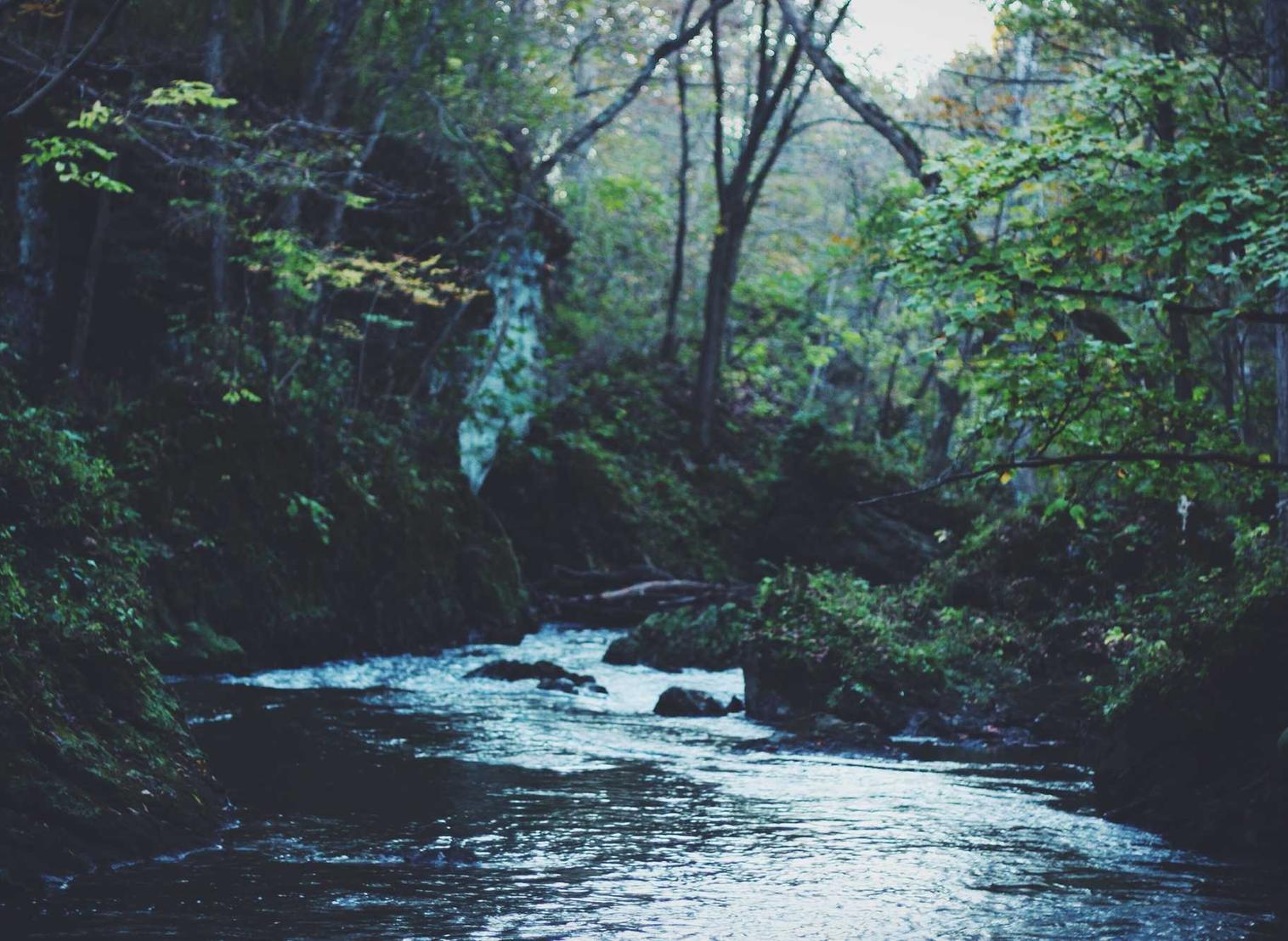 豌豆ip实名账号：流量卡和日本卡的区别是什么？