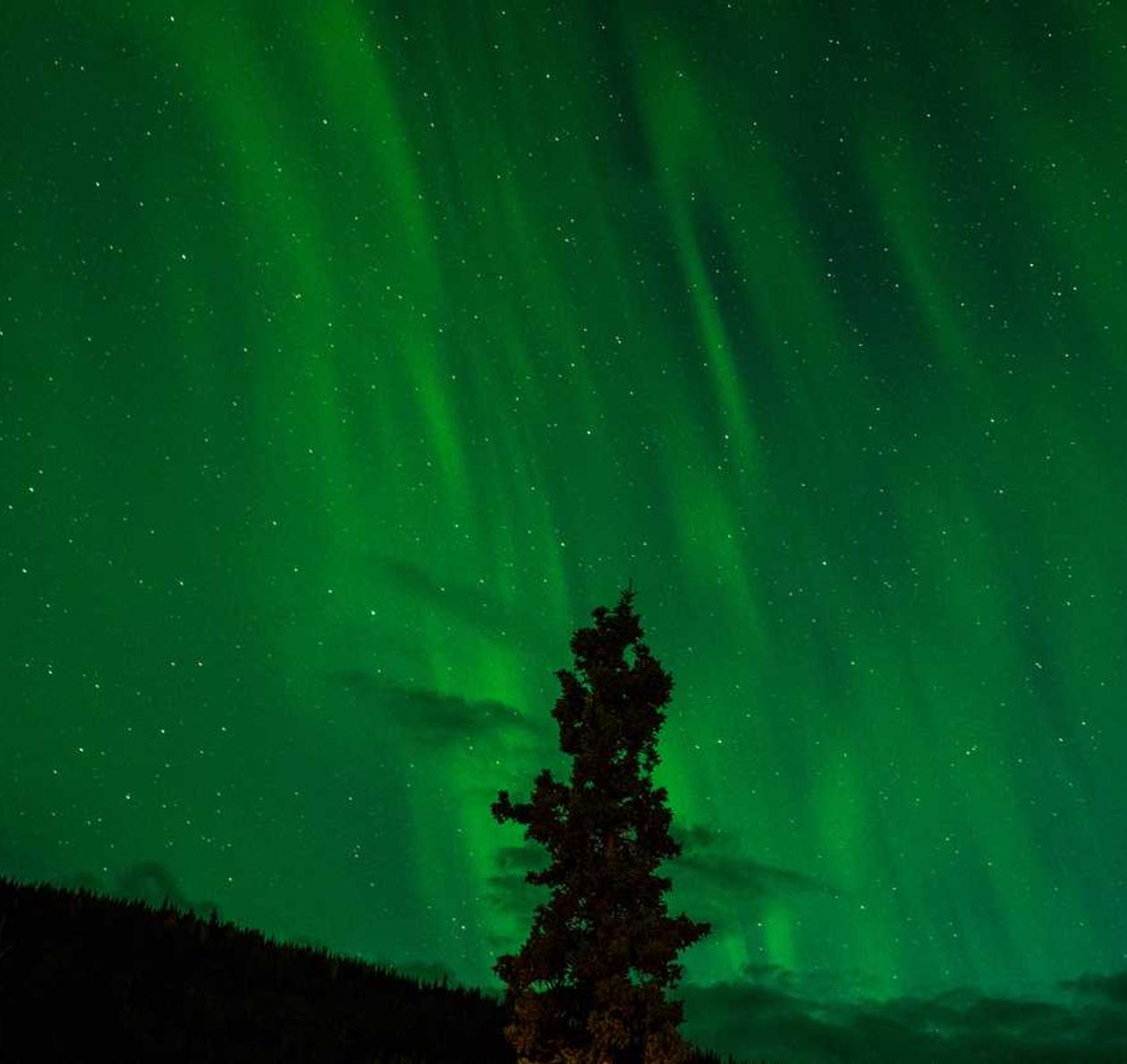 如何利用SEO策略来为您的企业建立品牌关系