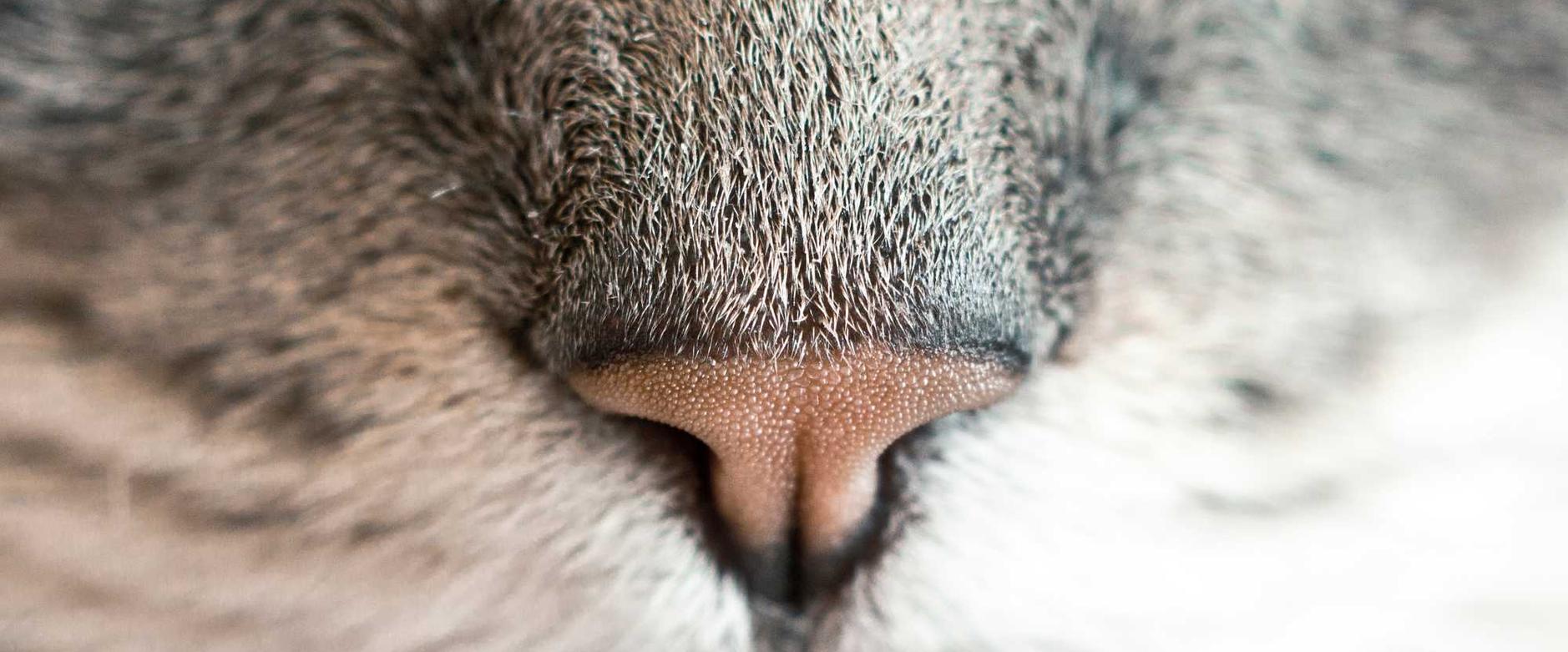 解读DDOS攻击文章- 马尾区商标注册代理