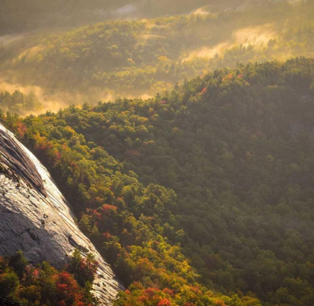 cc网页端|职想花app详情下载教程